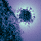 Illustration for article titled The Massive MERS FAQ